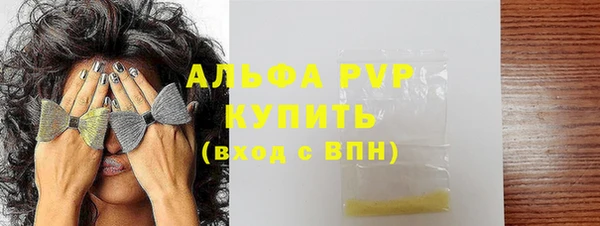 молекула духа Арсеньев