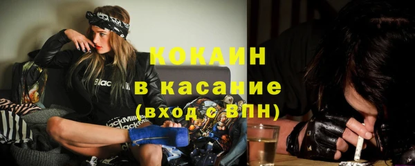 молекула духа Арсеньев