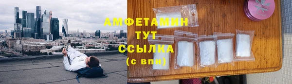 молекула духа Арсеньев
