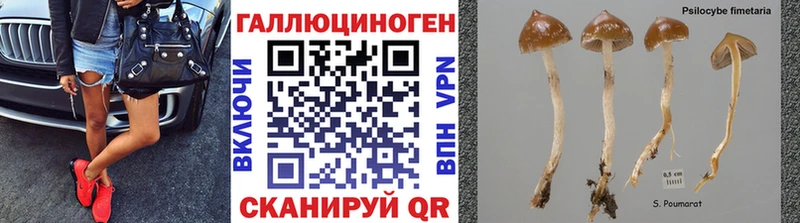 Галлюциногенные грибы мицелий Можга