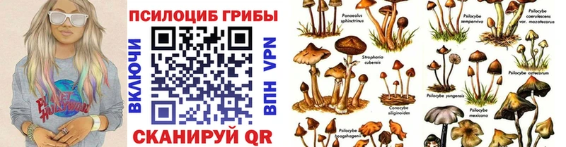 Галлюциногенные грибы GOLDEN TEACHER  Можга 