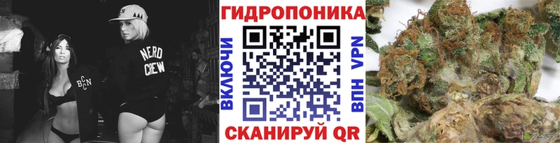 Бошки Шишки SATIVA & INDICA  купить   Можга 